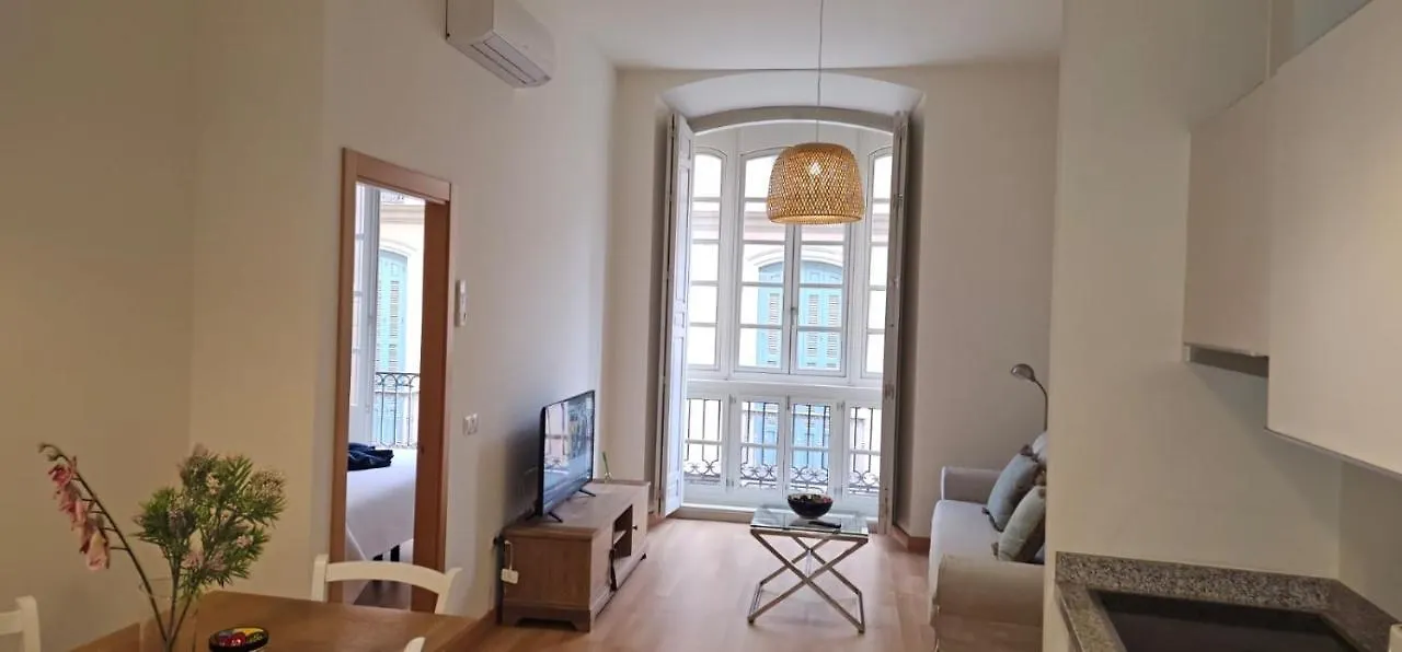 Nino De Guevara'S Andalusian Charm: The Essence Of Malaga City Center Apartment