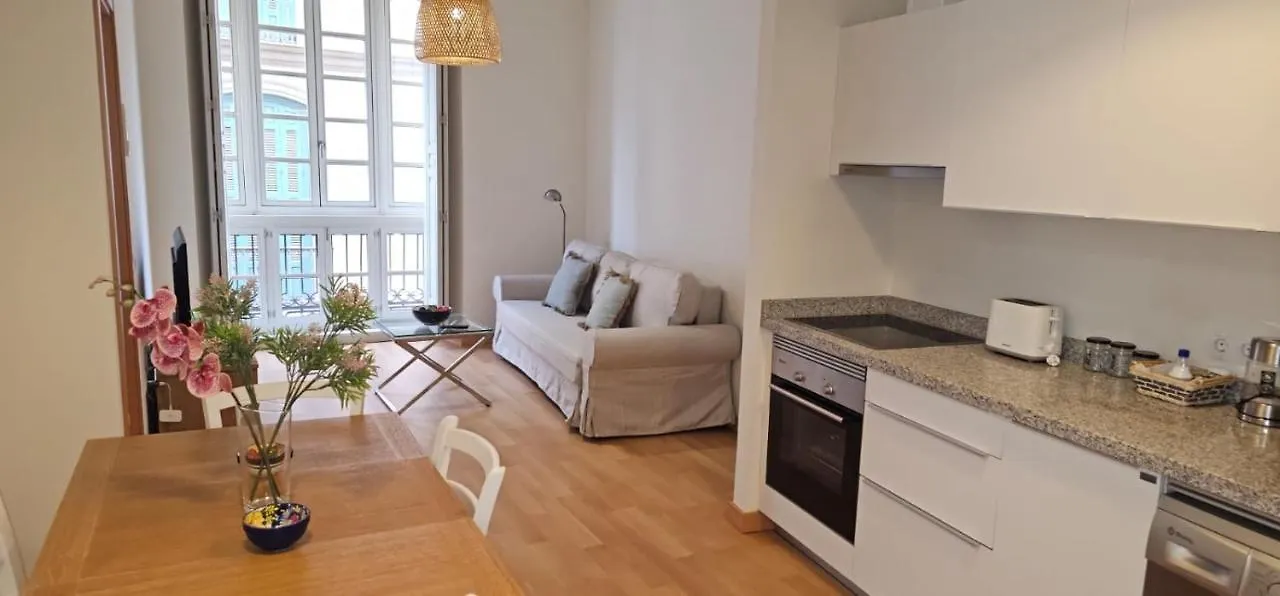 Nino De Guevara'S Andalusian Charm: The Essence Of Malaga City Center Apartment 0*,
